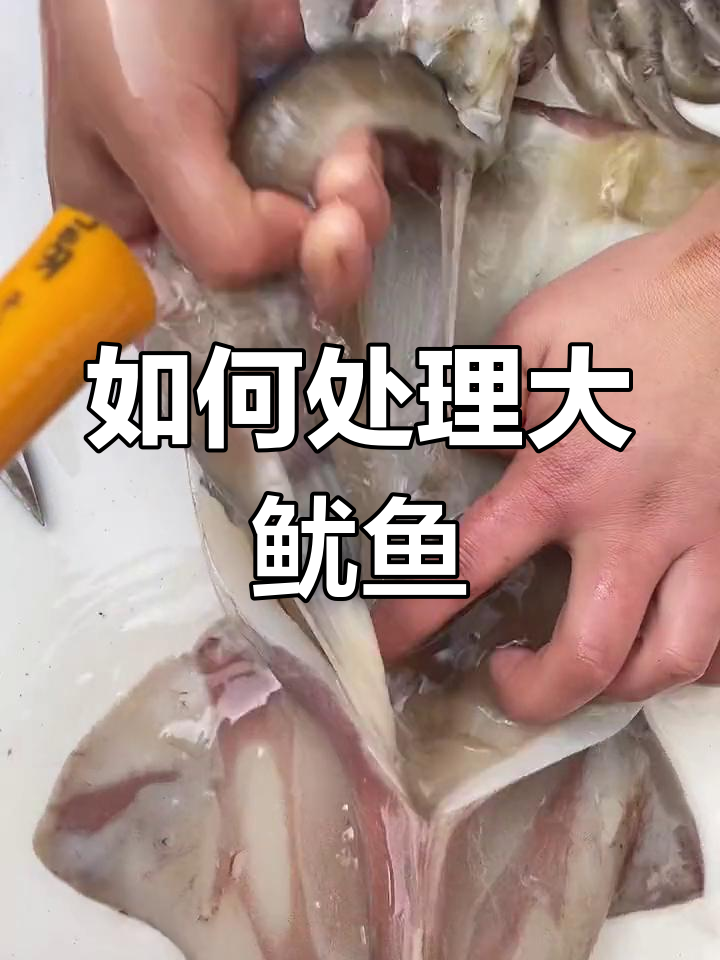 鱿鱼清理全攻略,内脏不能吃