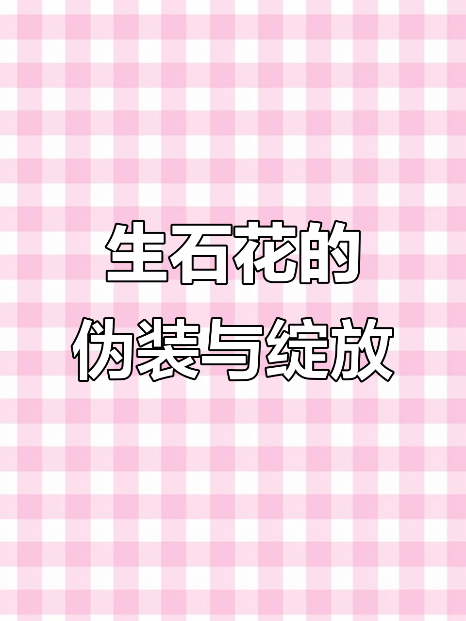 伪装成石头的多肉植物，如何用花朵吸引沙漠动物？