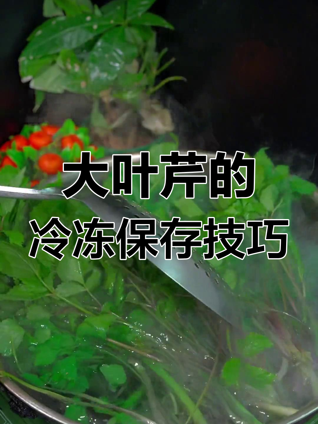 冬季必备!教你如何储存新鲜大叶芹,保持营养不流失