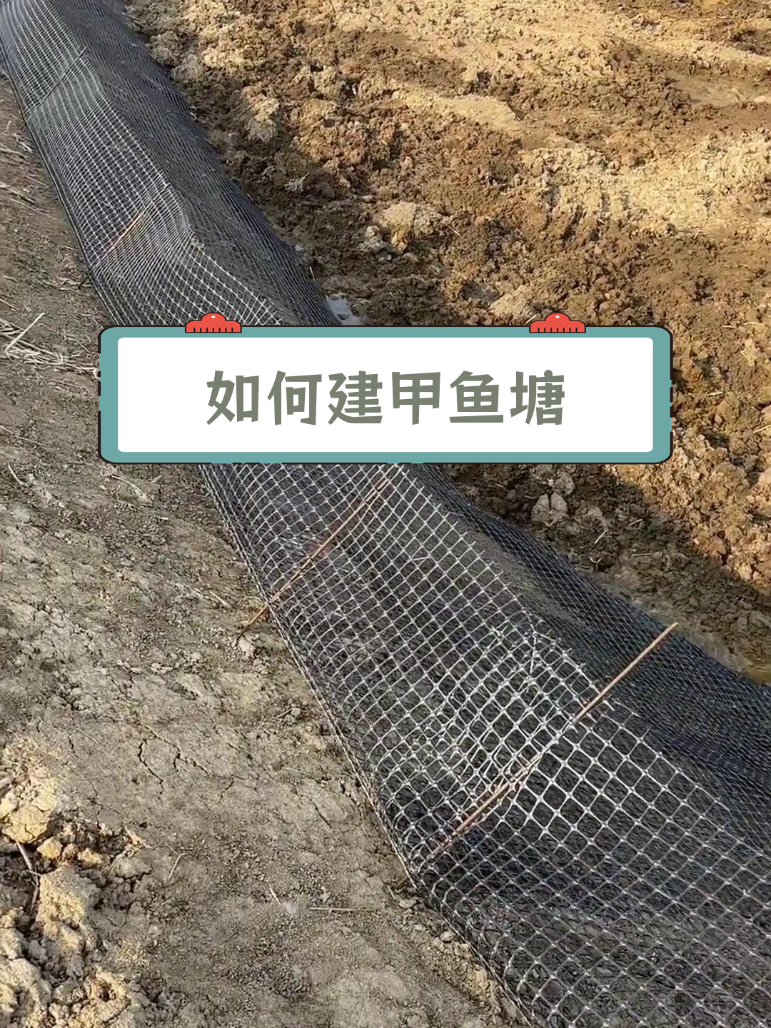 甲鱼塘建造全攻略,轻松打造实用池塘