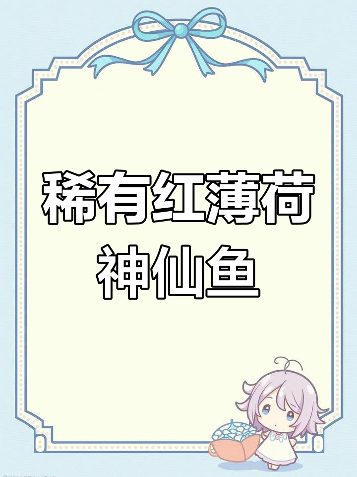 红薄荷神仙鱼:世界上最昂贵的海水鱼之一