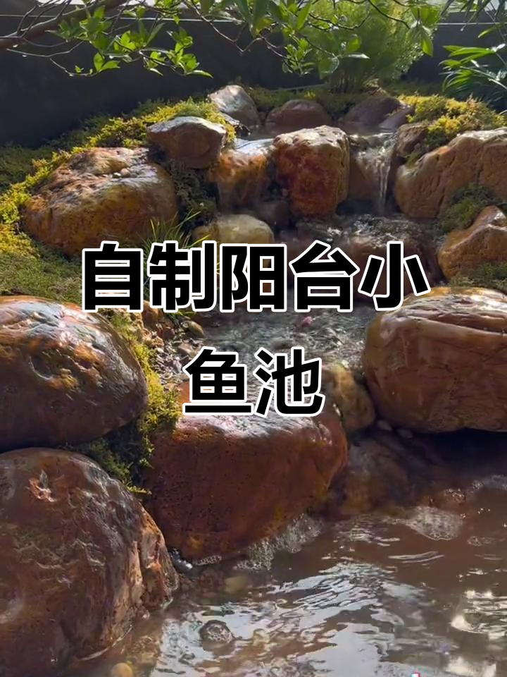 阳台鱼池改造全纪录:从原生设计到生态造景