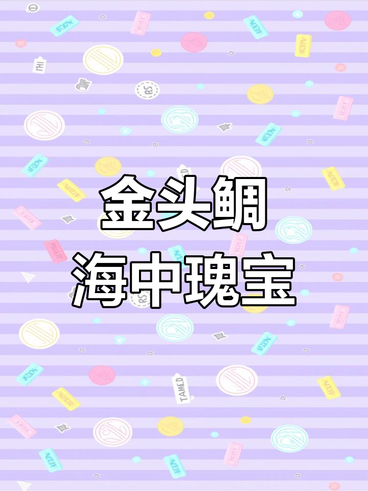 欧洲皇家鲷鱼揭秘:金头鲷的独特魅力与珍稀美食