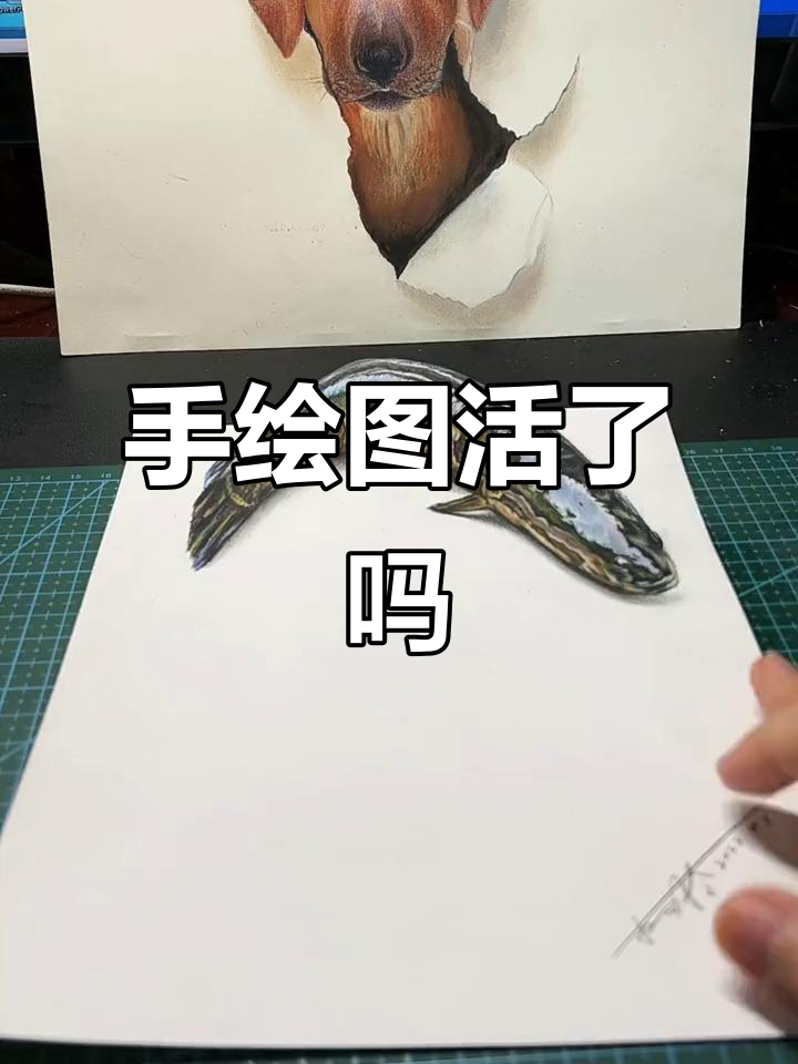 鱼画得像吗?3D彩铅手绘挑战,画出栩栩如生的感觉