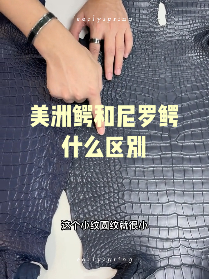 美洲鳄鱼皮和尼罗鳄鱼皮什么区别?