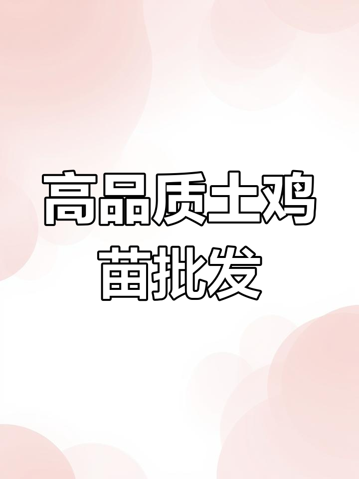 广西土鸡苗、贵州九斤黄,家禽养殖必备优质品种