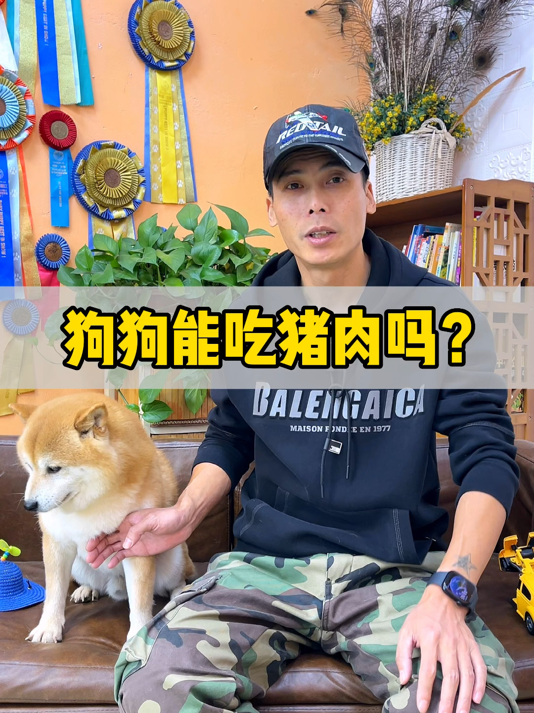 狗狗能不能吃猪肉