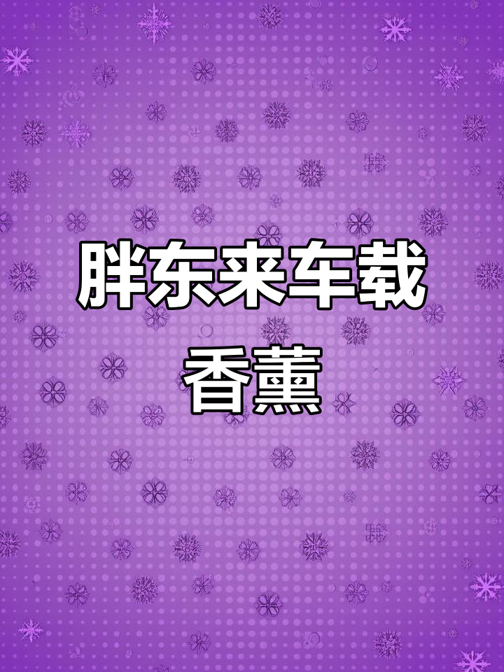 胖东来车载香薰:四种香气,让你的车内更清新