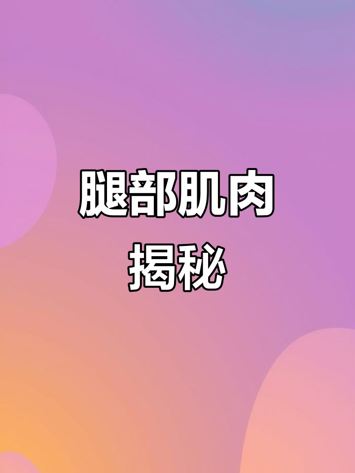 腿部肌肉深度解析,速写视频带你探索!