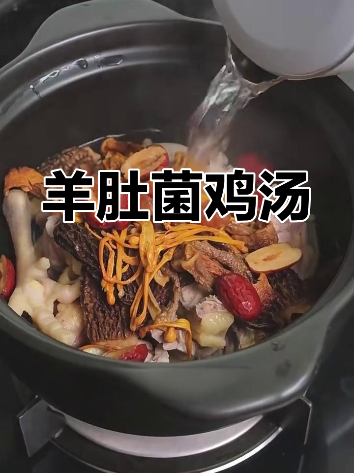 羊肚菌炖鸡汤,滋补美味一锅搞定