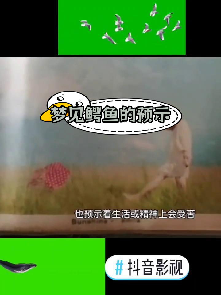 梦到鳄鱼的含义与解读