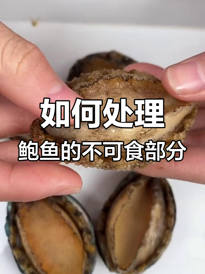 鲍鱼哪些部位能吃，哪些不能吃？教你清理技巧