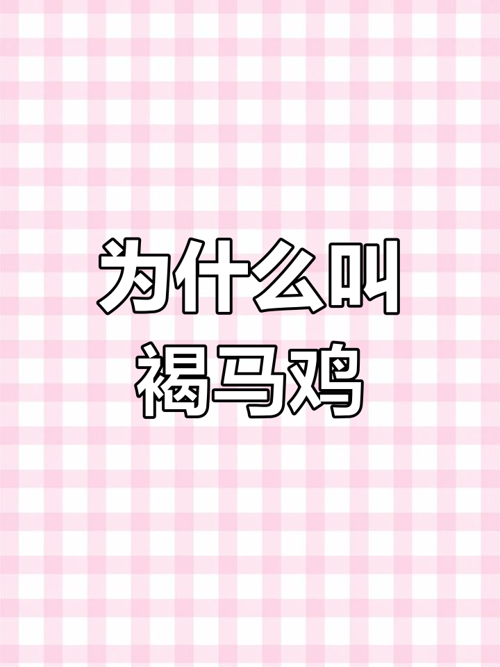 褐马鸡:为何是“神鸟”?历代皇帝都敬它三分