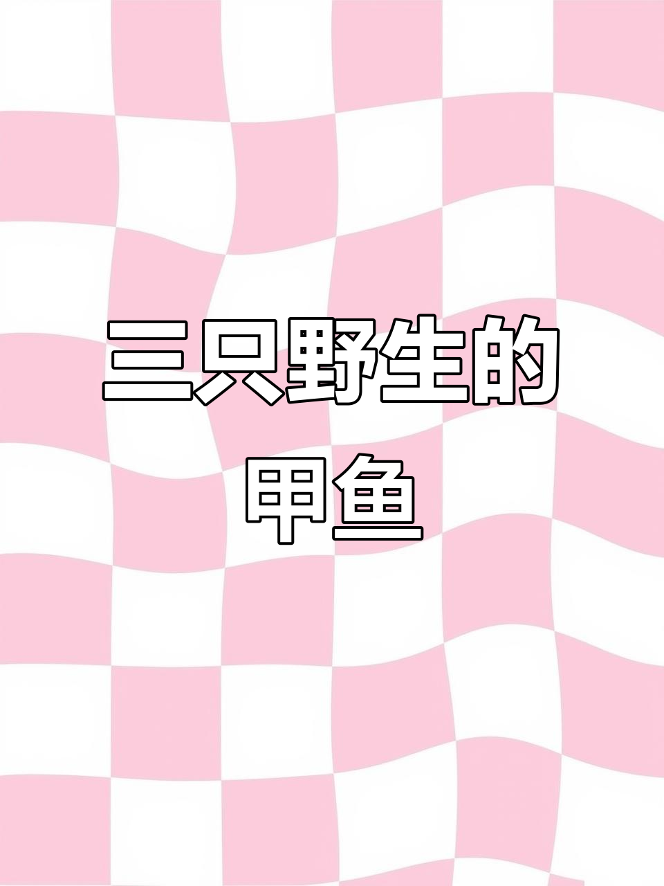 野生甲鱼大揭秘，三个老品种的独特魅力