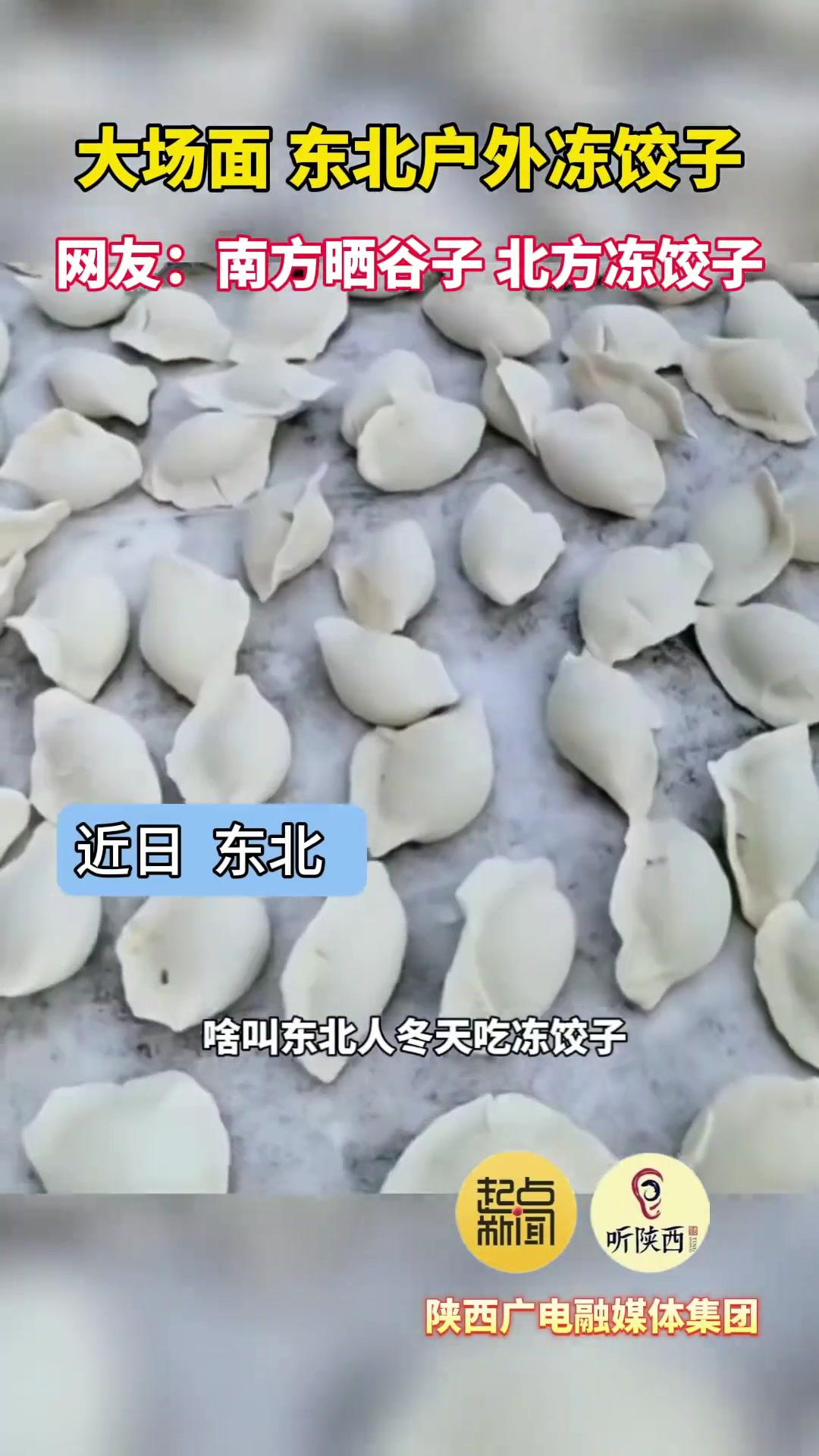 长见识了!第一次知道东北冻饺子大场面。网友:南方晒谷子,北方冻饺子