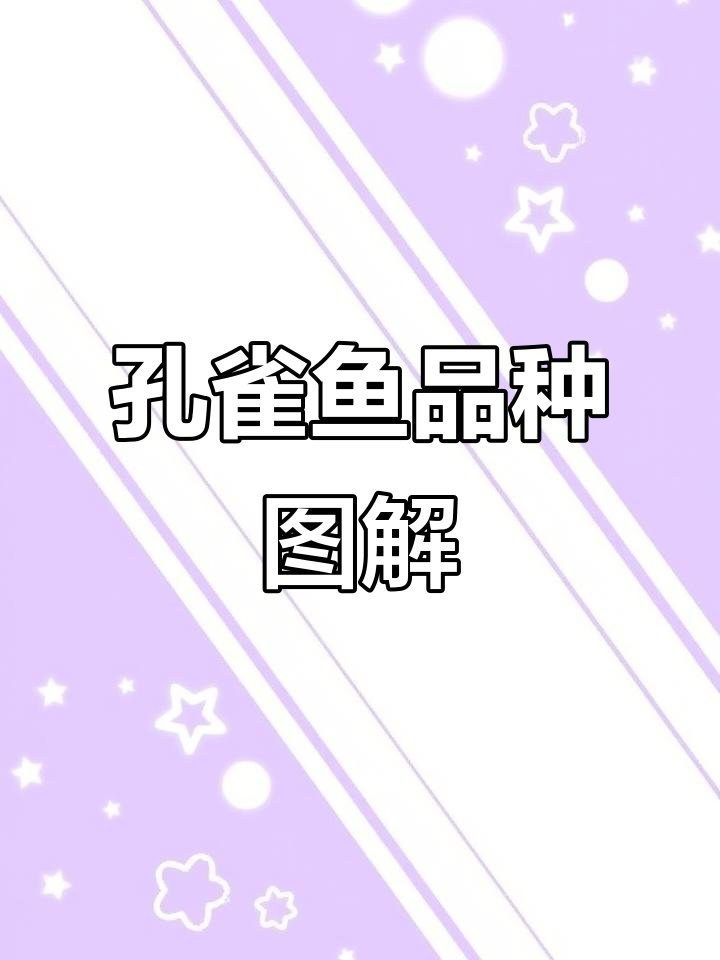 孔雀鱼品种大揭秘，带你了解不同种类特征