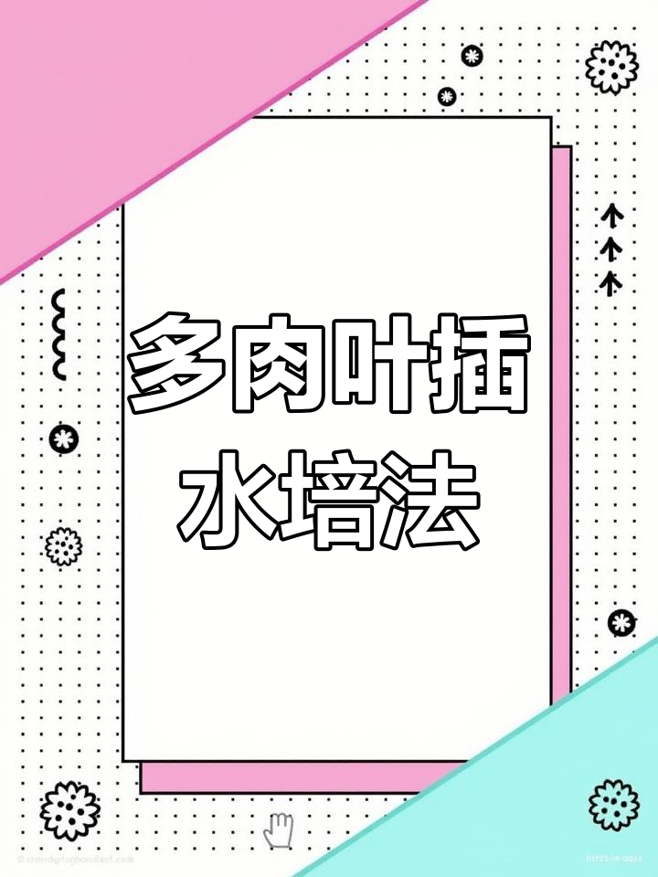 夏季多肉叶插技巧,水培法让你轻松生根