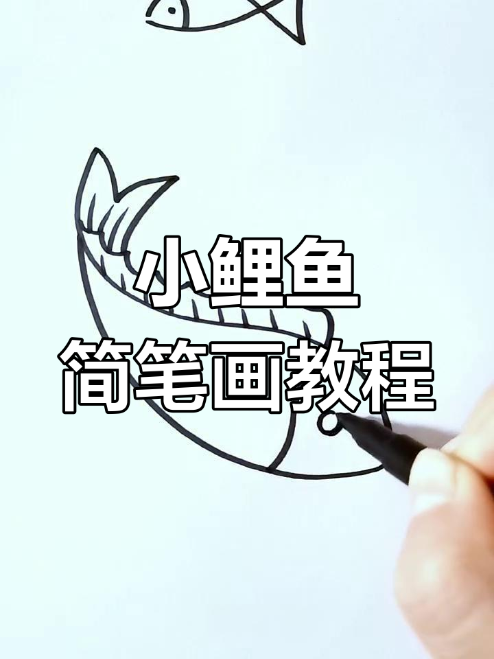 轻松学画小鲤鱼,简单步骤教你搞定