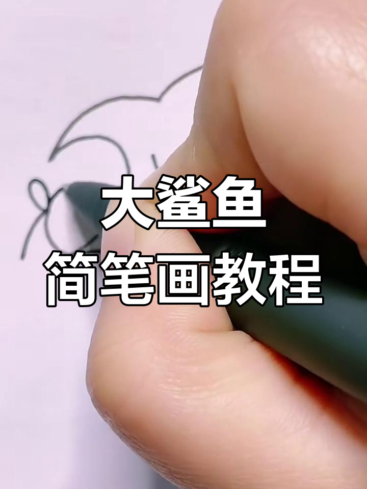 轻松学画大鲨鱼,步骤简单又有趣
