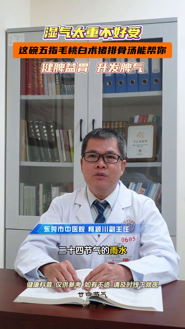 湿气太重不好受?这碗五指毛桃白术猪排骨汤能帮你