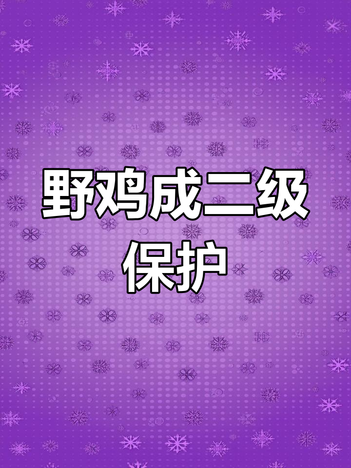 野鸡为何成为保护动物?