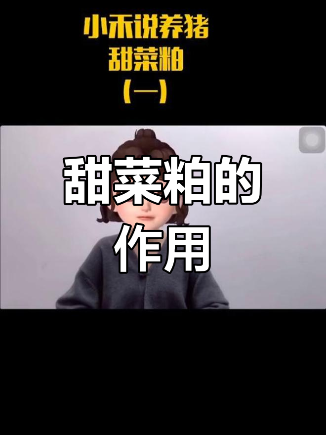 甜菜粕在养猪中的应用