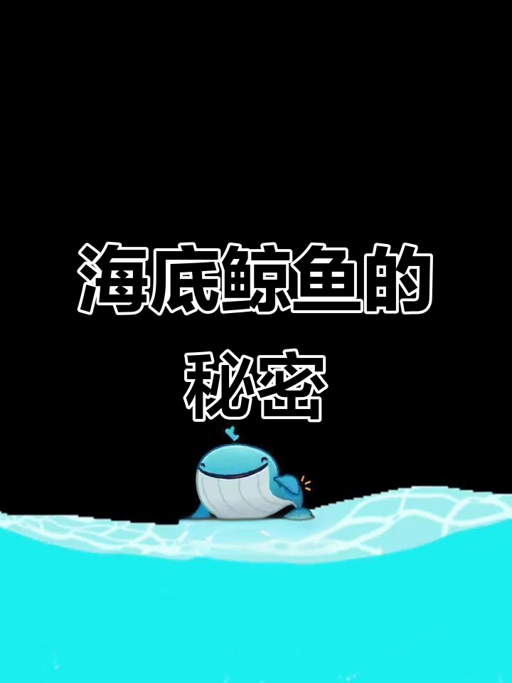 深海里的沉默鲸鱼与美丽海豚的友情故事