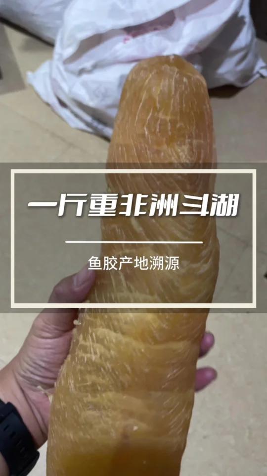 收藏级别非洲斗湖筒