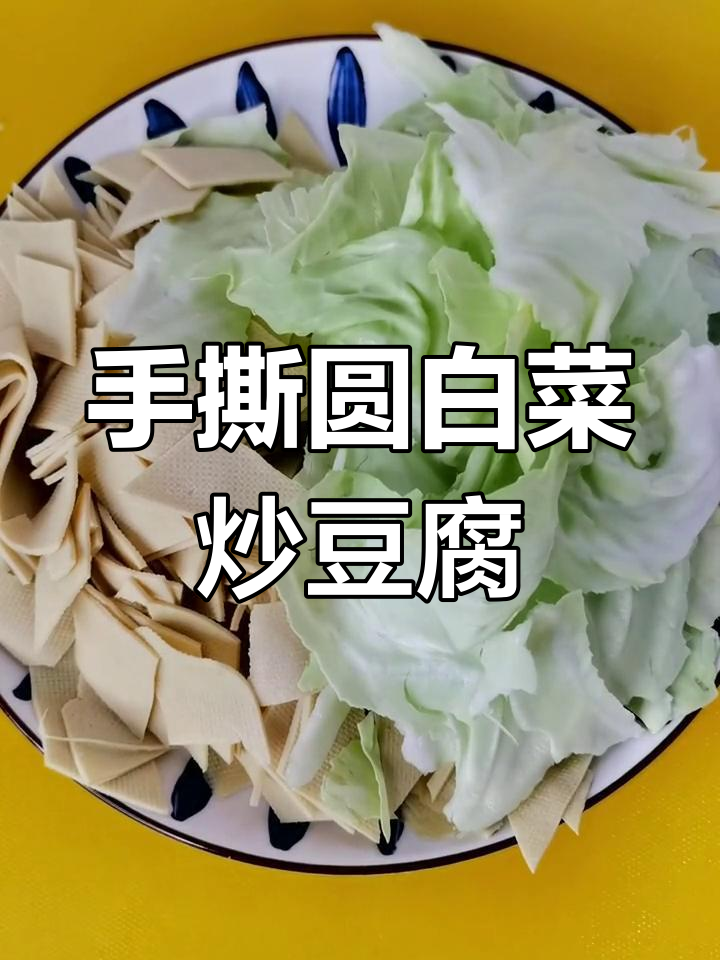 圆白菜炒干豆腐的家常做法,简单又美味
