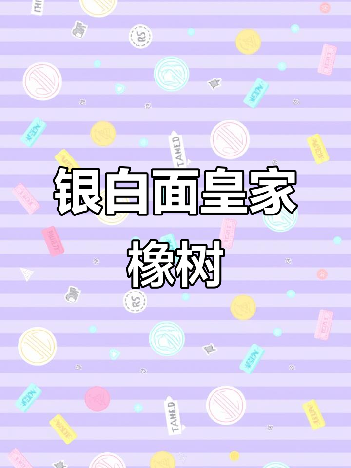 低调奢华的银白面皇家橡树,完美搭配任何风格