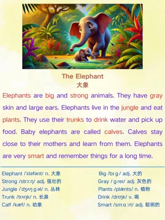 每日英语听读,坚持阅读100天|大象