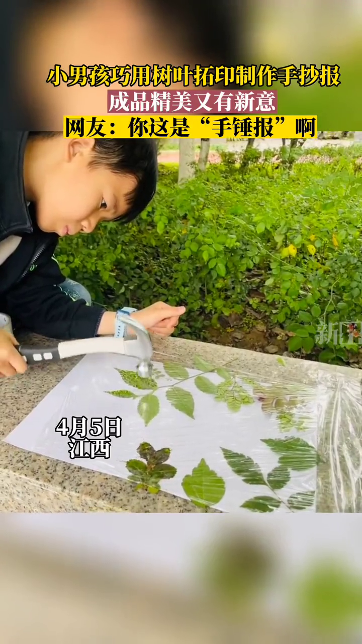 小男孩巧用树叶拓印制作手抄报,成品精美又有新意