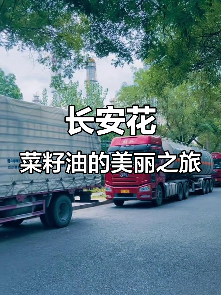 云遮日落,星影难寻,长安花菜籽油带你穿越美丽画面