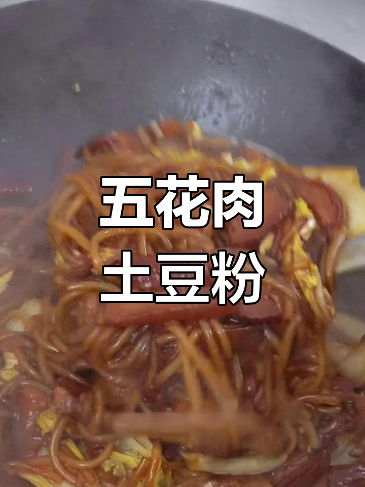 经典东北猪肉炖粉条做法