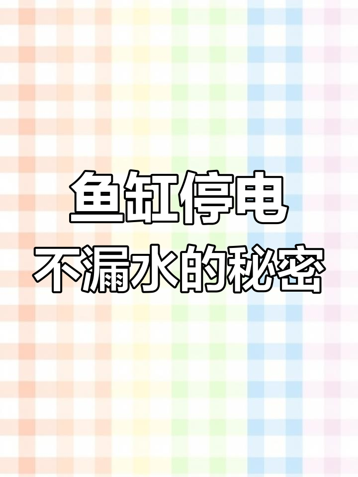 底滤鱼缸停电不漏水,定水位设计让你放心