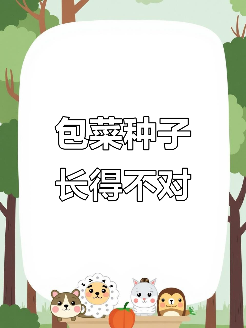 网上买的包菜种子,长出来竟然和描述的不一样?