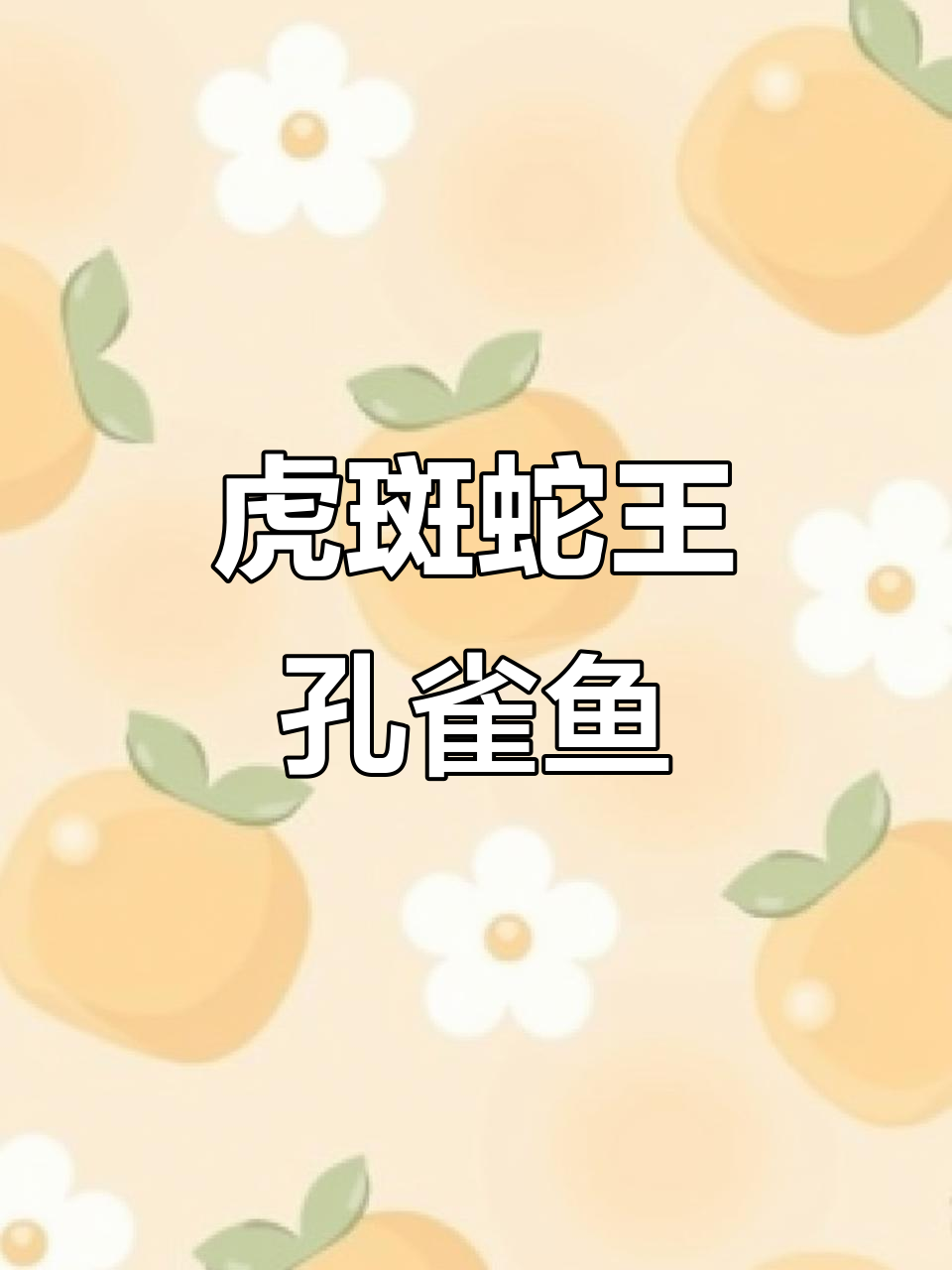 虎斑蛇王孔雀鱼:视觉震撼,热带鱼的魅力展现