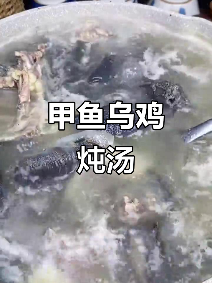 甲鱼乌鸡汤，滋补又美味