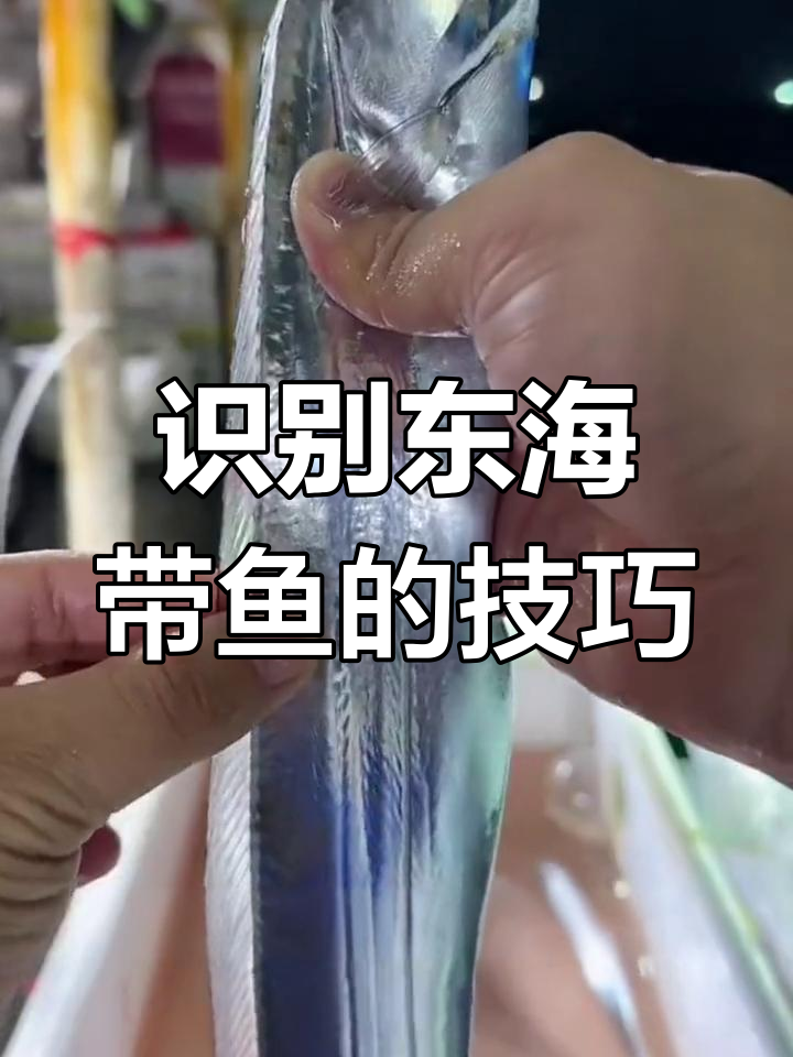 如何辨别舟山带鱼?