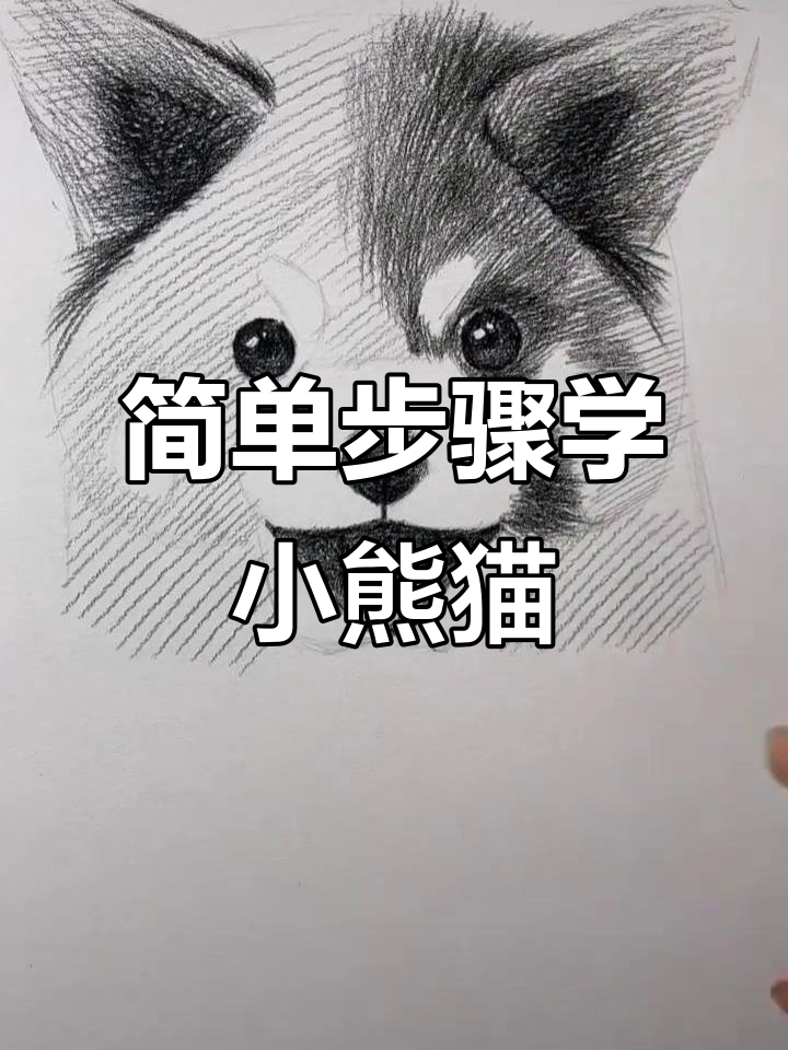 小熊猫画法全解析,轻松掌握可爱形象