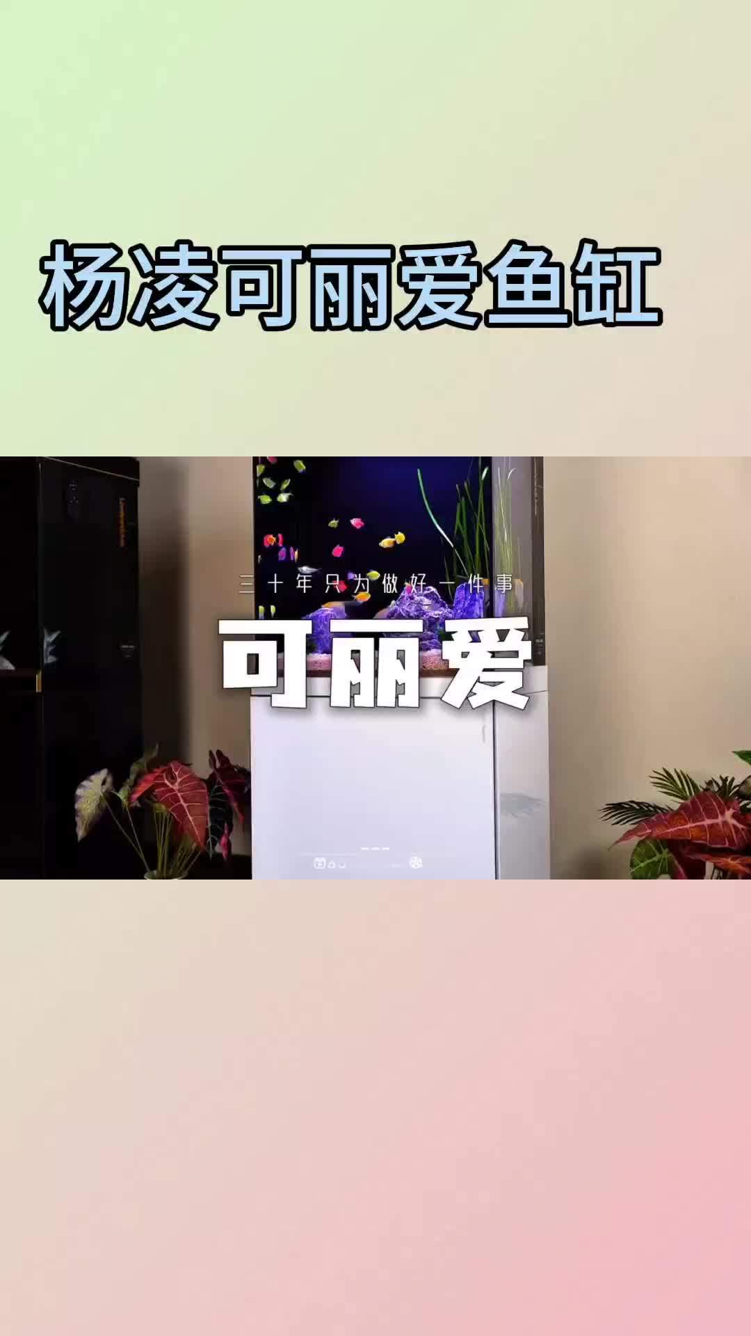 杨凌可丽爱鱼缸 本地商家 杨凌花鸟鱼虫市场 杨凌热带鱼