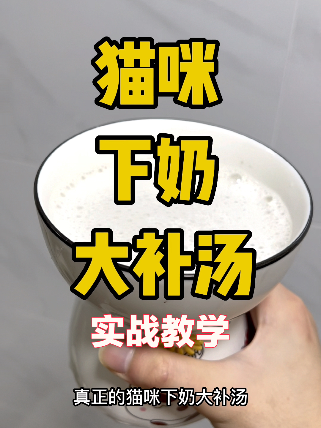 实战教学丨真正有用的猫咪下奶大补汤!
