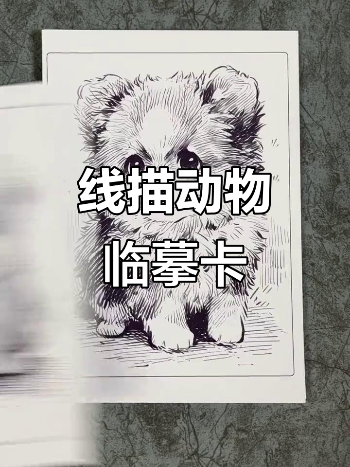 黑白线描动物临摹卡,30张可爱小动物等你挑战