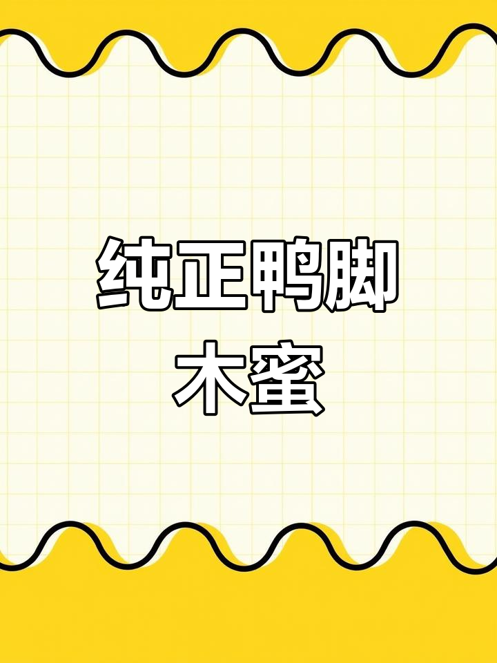 提取鸭脚木蜜前,先清除杂蜜,确保纯净无杂质