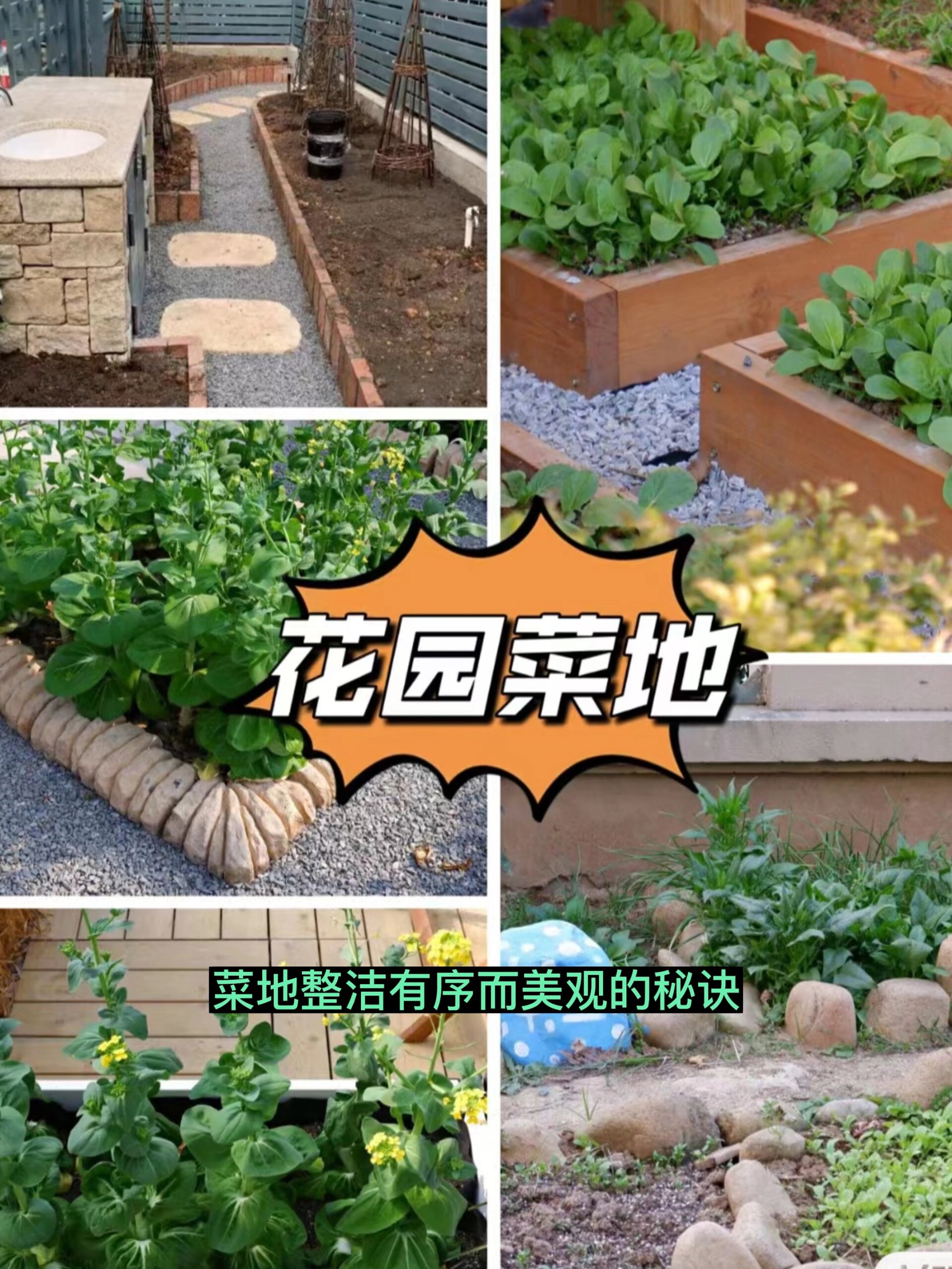 庭院中菜地怎么设计既美观又实用?