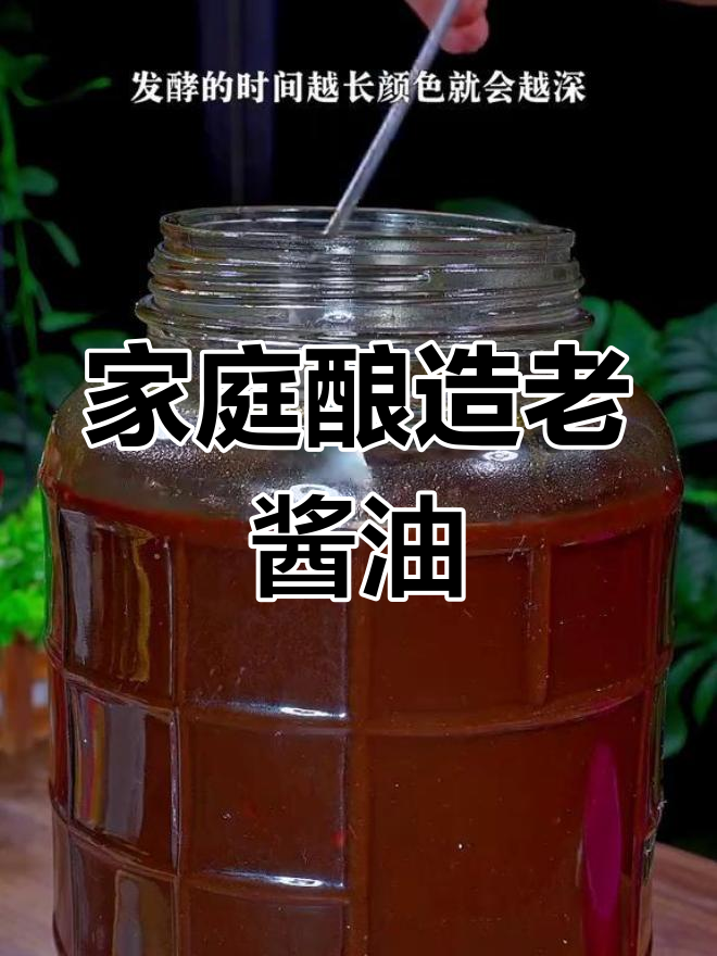 自制黄豆酱,轻松学会