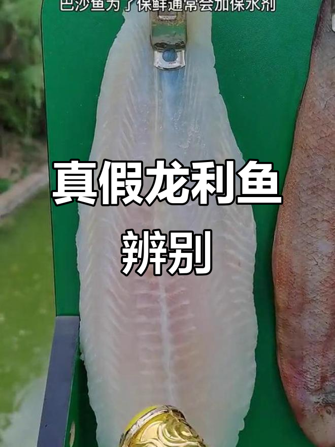 巴沙鱼常被误认为龙利鱼,两者区别大揭秘!