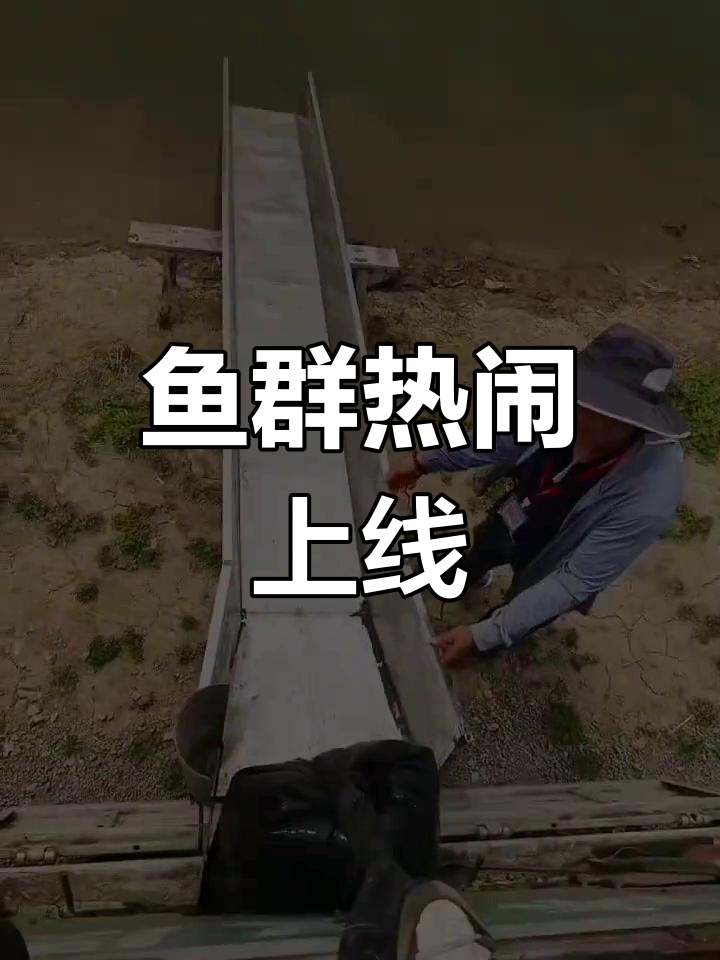 兴凯湖鱼群活跃,多种鱼类齐上阵,赶紧联系预订!