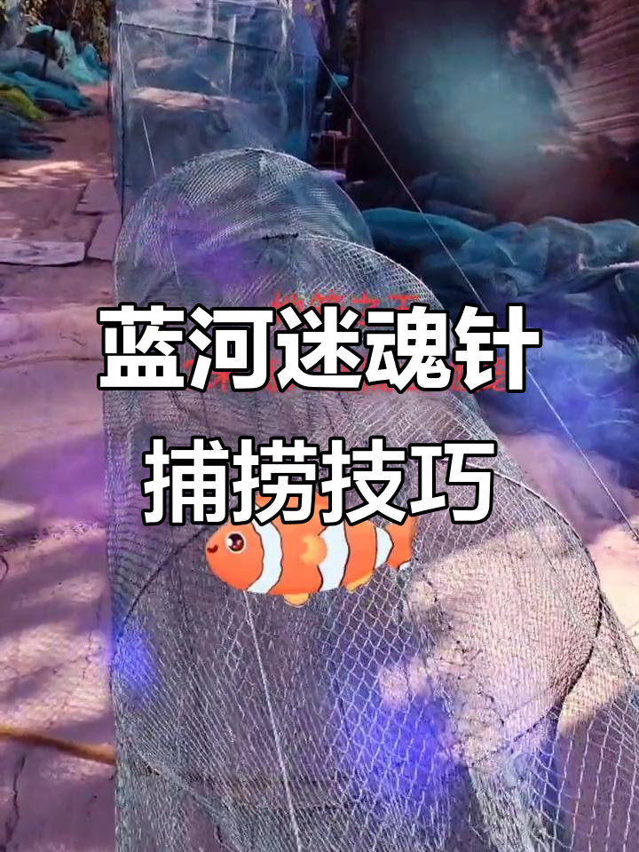 蓝河简易迷魂阵捕鱼，2米地笼高效运作揭秘