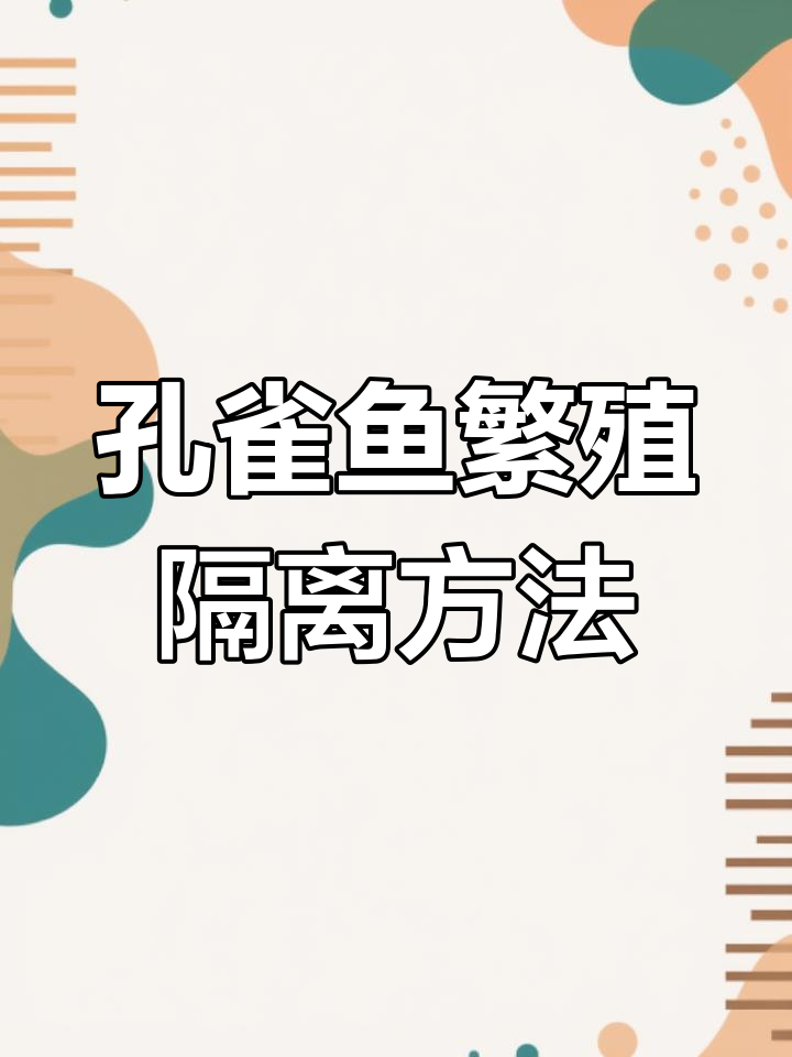 孔雀鱼繁殖隔离技巧,如何避免小鱼被吃掉
